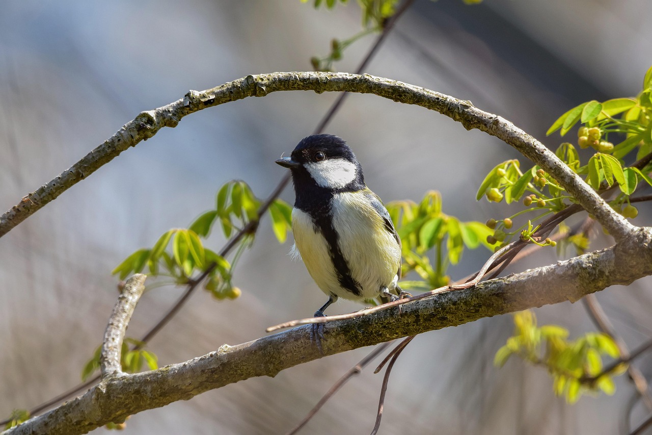 マスメディアンのキャンペーン・特典最新情報！損せず登録するコツ
